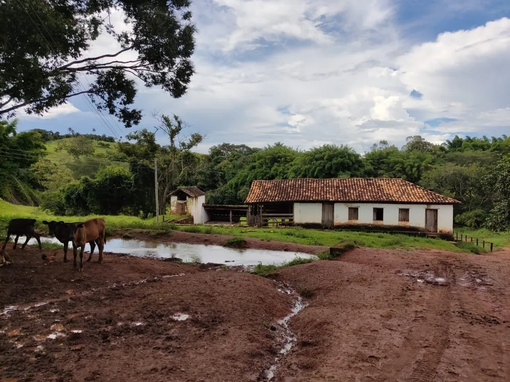 Fazenda, 3 quartos - Foto 3