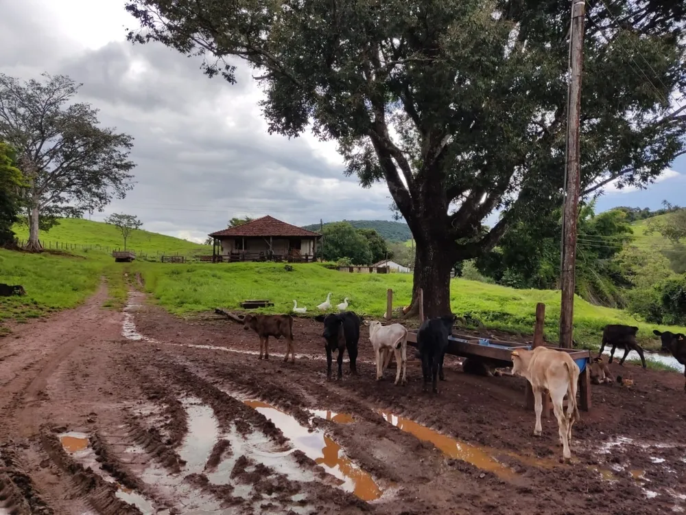Fazenda, 3 quartos - Foto 5