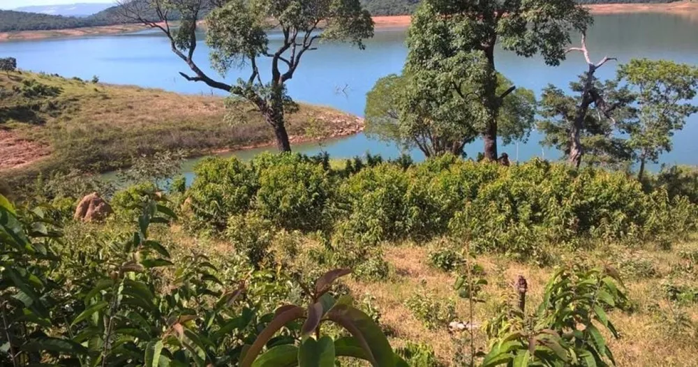 Terreno, 6 hectares - Foto 10