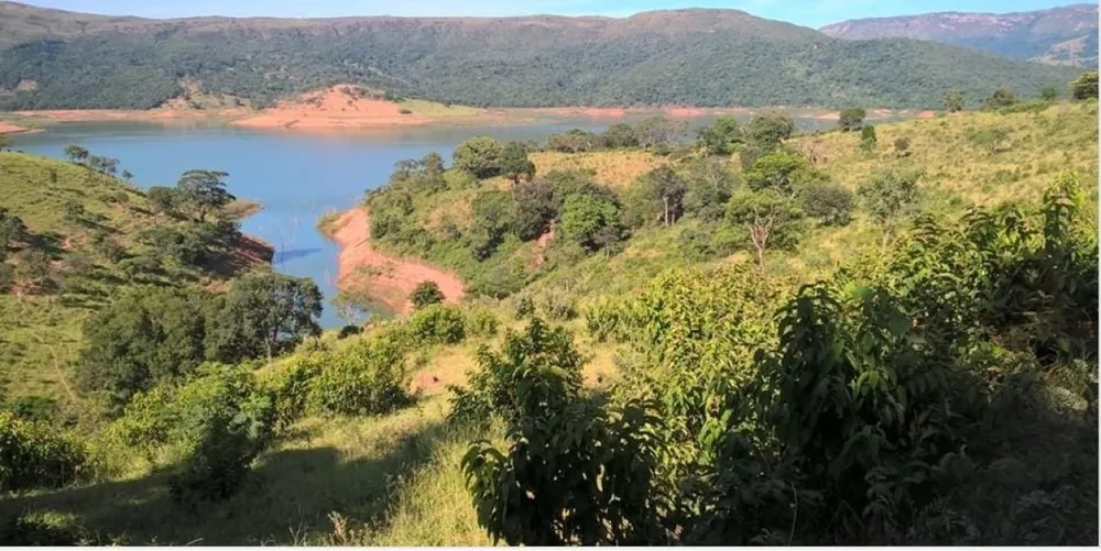 Terreno, 6 hectares - Foto 8