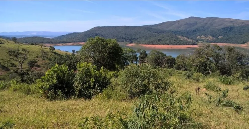 Terreno, 6 hectares - Foto 3