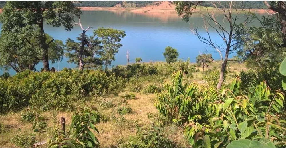 Terreno, 6 hectares - Foto 7