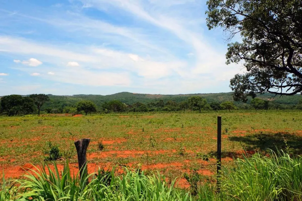 Terreno à venda, 800m² - Foto 4