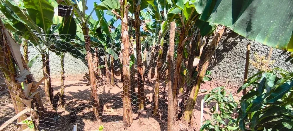 Terreno, 360 m² - Foto 5