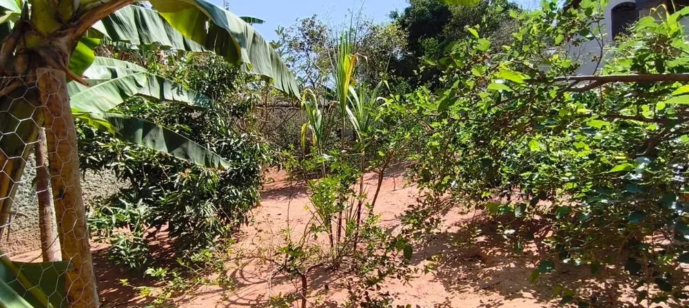 Terreno, 360 m² - Foto 11