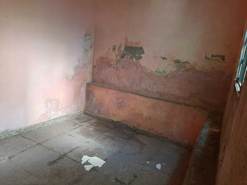 Casa, 3 quartos, 438 m² - Foto 7