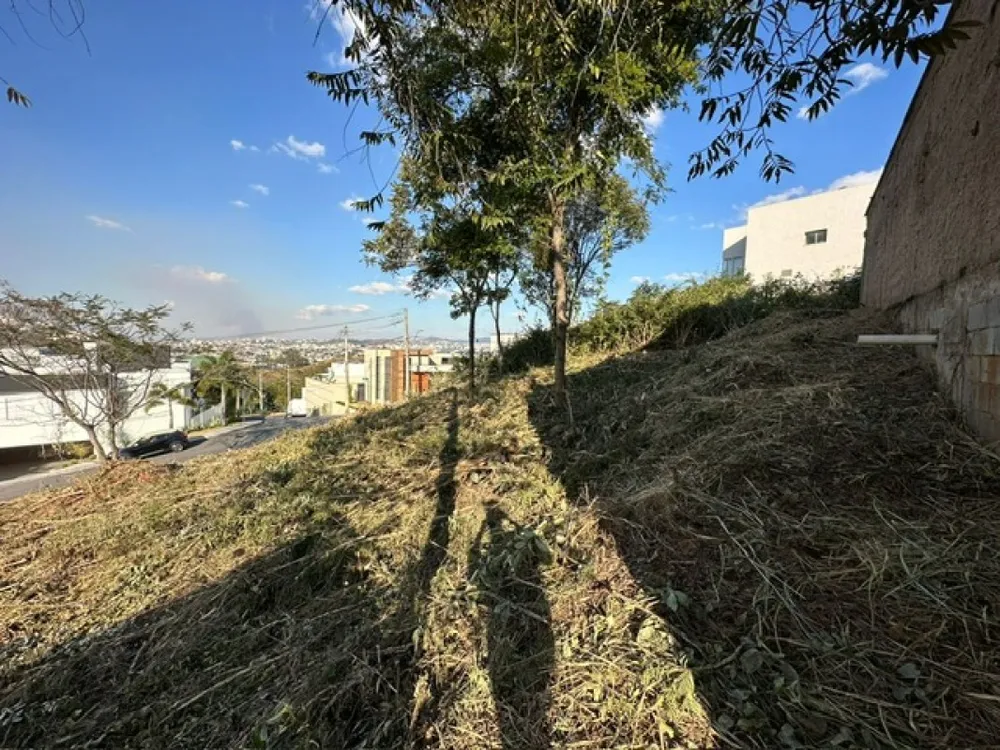 Terreno, 479 m² - Foto 6