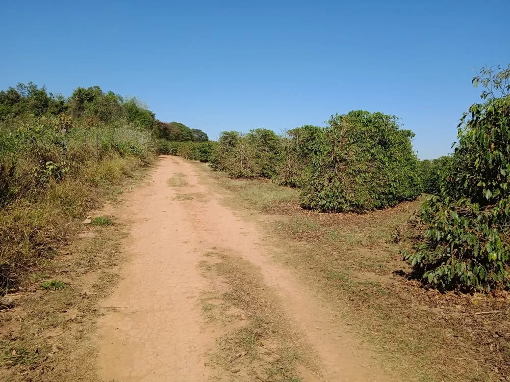 Sítio, 2 quartos, 130000 m² - Foto 3