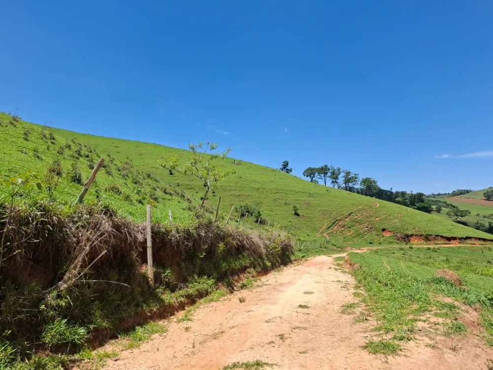 Fazenda, 131 hectares - Foto 4