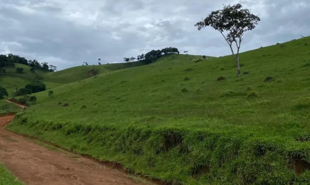 Fazenda, 131 hectares - Foto 7