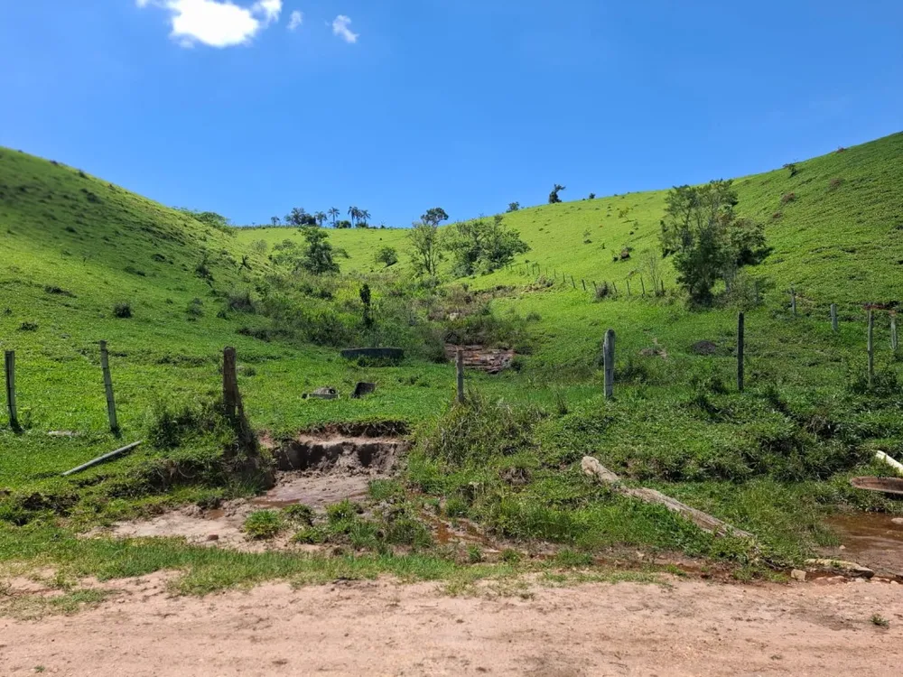 Fazenda, 131 hectares - Foto 4