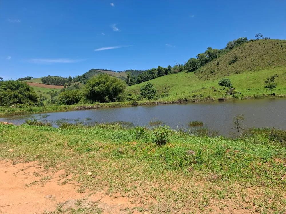 Fazenda, 131 hectares - Foto 2