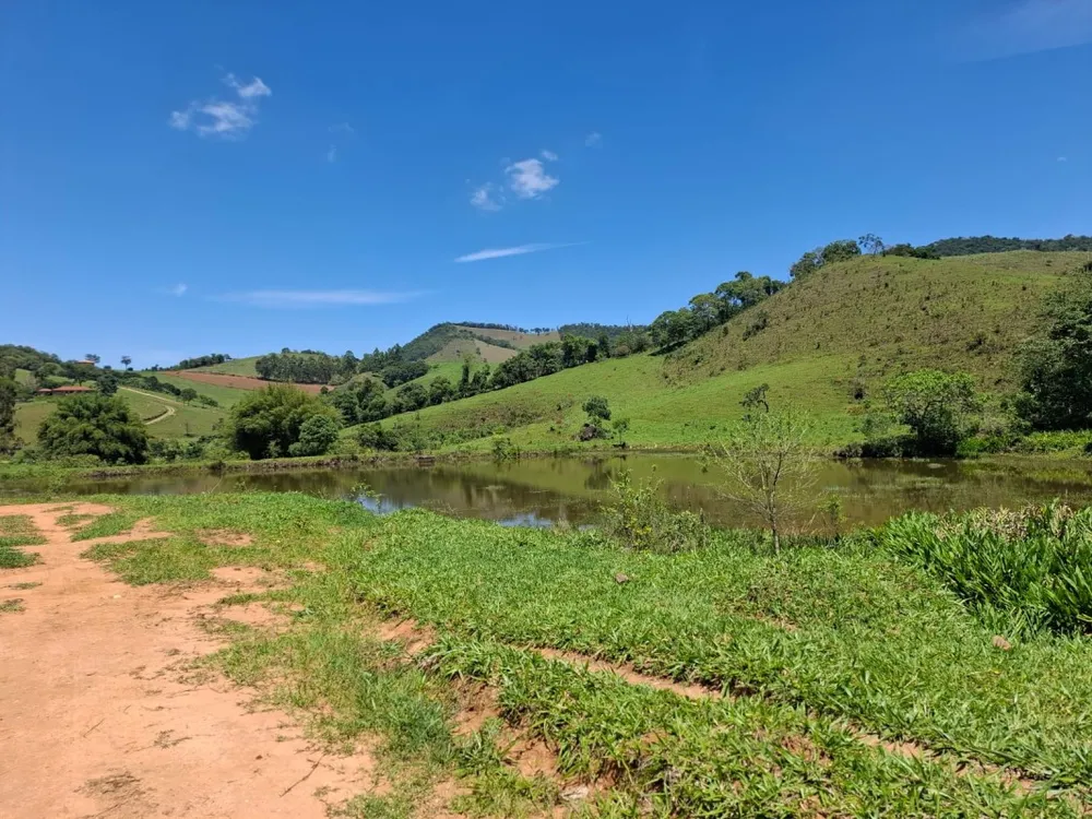 Fazenda, 131 hectares - Foto 3