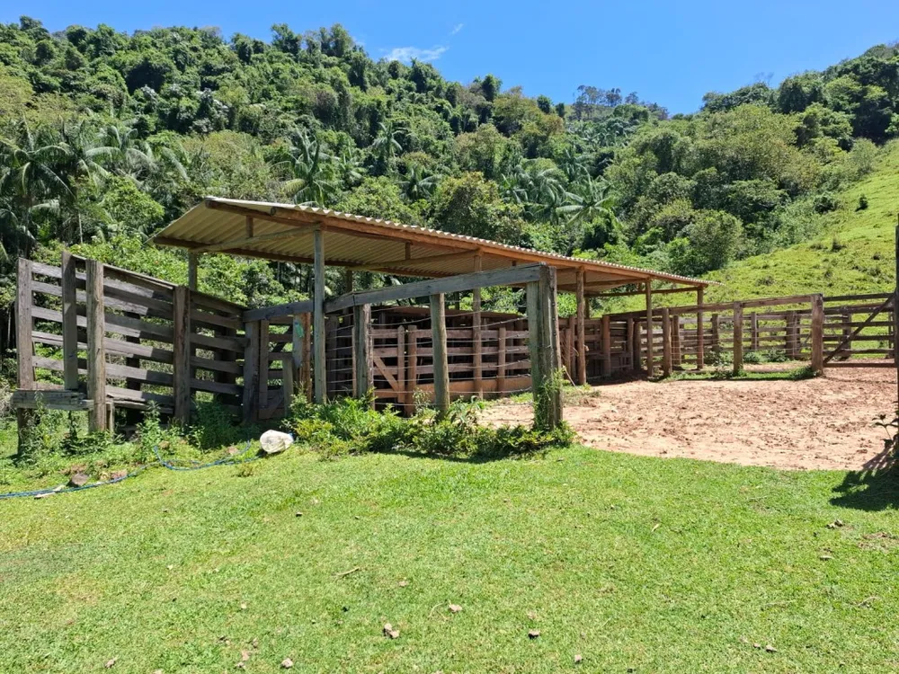 Fazenda, 131 hectares - Foto 13