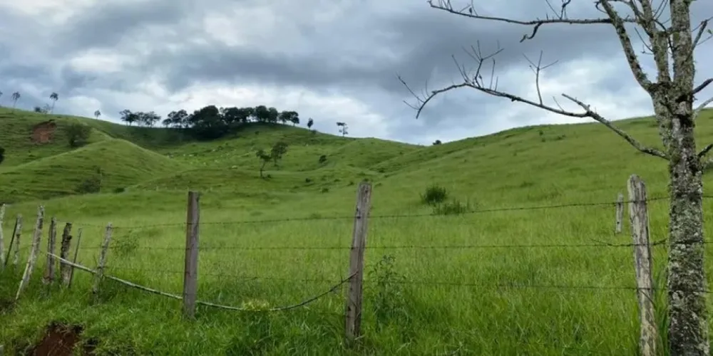 Fazenda, 131 hectares - Foto 2