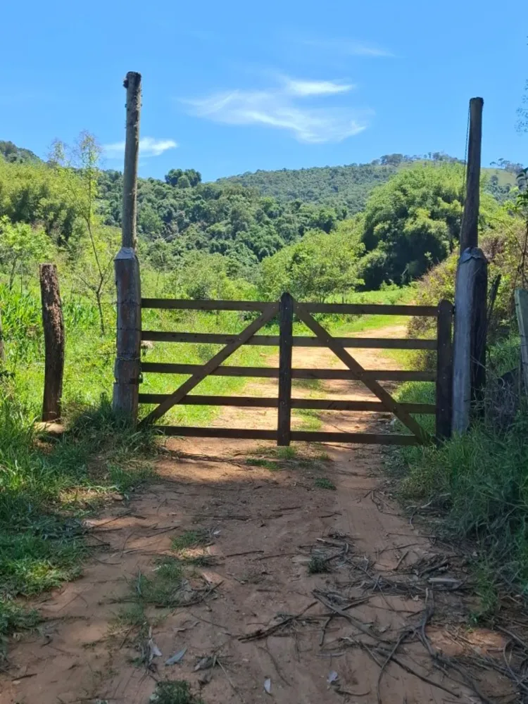 Fazenda, 131 hectares - Foto 1