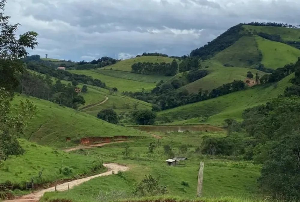 Fazenda, 131 hectares - Foto 8