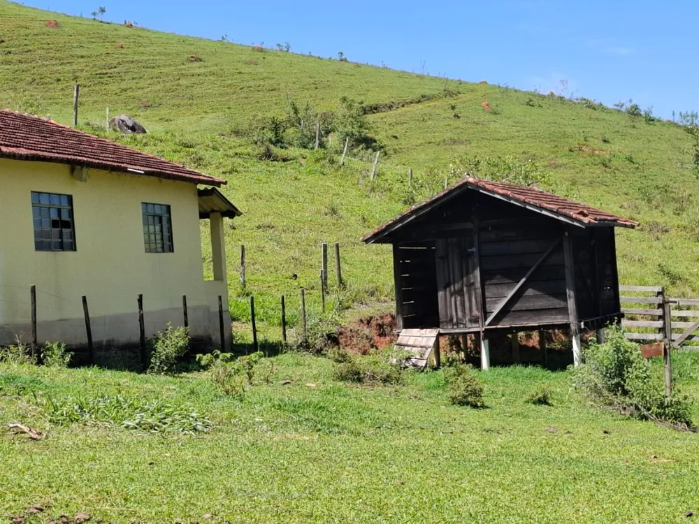 Fazenda, 131 hectares - Foto 6
