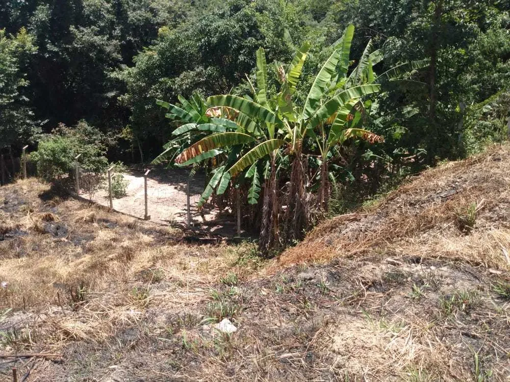 Terreno, 1017 m² - Foto 2
