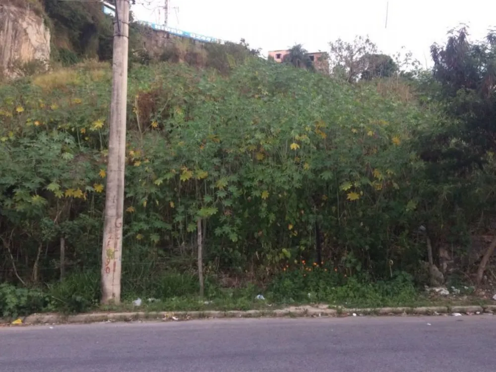 Terreno, 360 m² - Foto 3