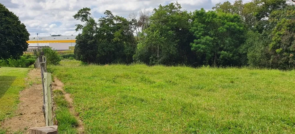 Terreno, 100 hectares - Foto 4