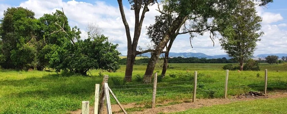 Terreno, 100 hectares - Foto 2