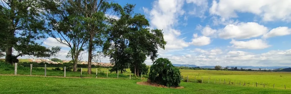 Terreno, 100 hectares - Foto 6
