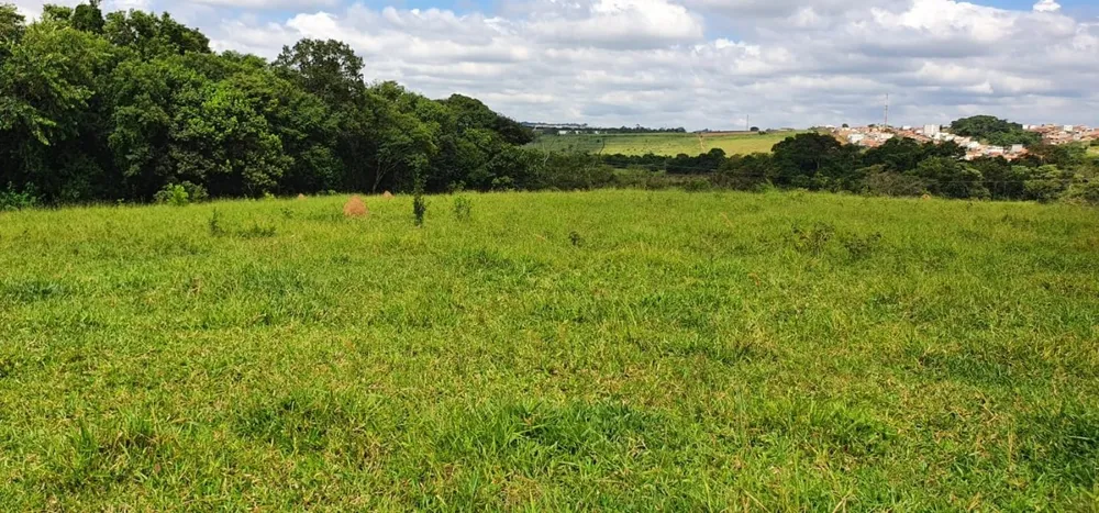 Terreno, 100 hectares - Foto 3