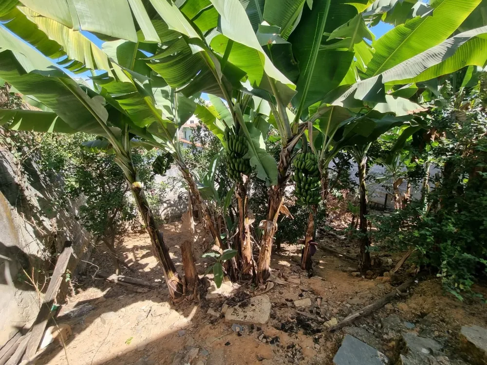 Casa, 3 quartos, 200 m² - Foto 19