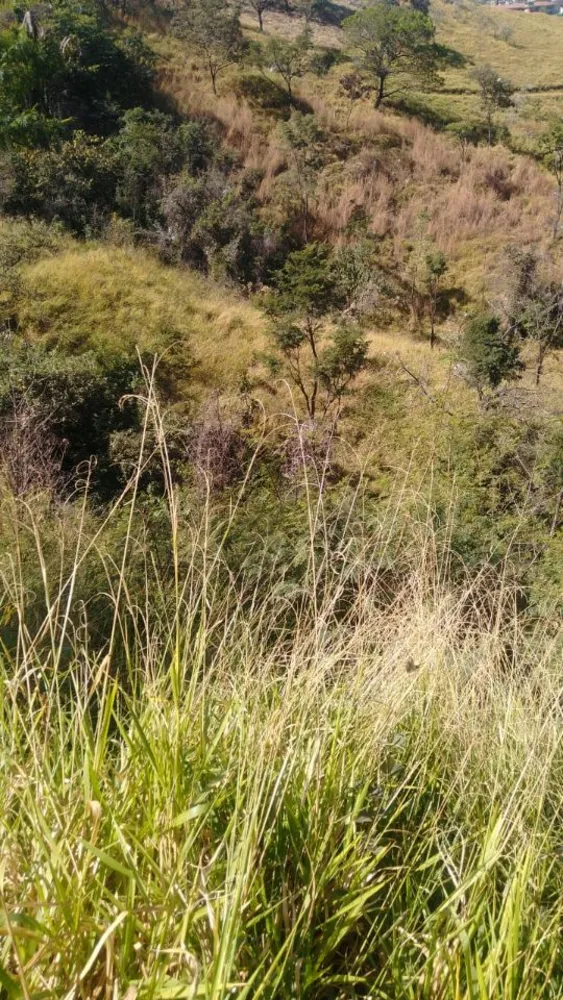 Terreno, 360 m² - Foto 4