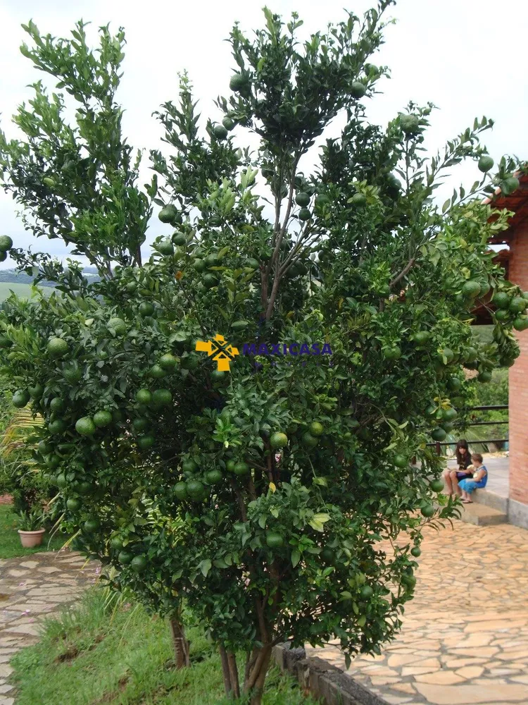 Casa, 4 quartos, 6000 m² - Foto 9