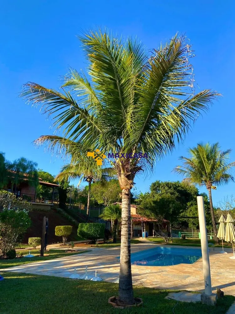 Casa, 4 quartos, 6000 m² - Foto 2