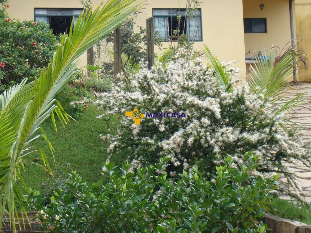 Casa, 4 quartos, 6000 m² - Foto 4