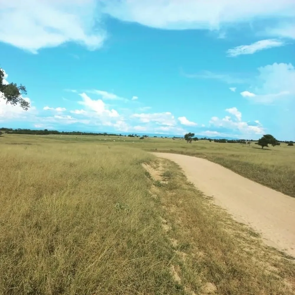 Fazenda, 2 quartos - Foto 10