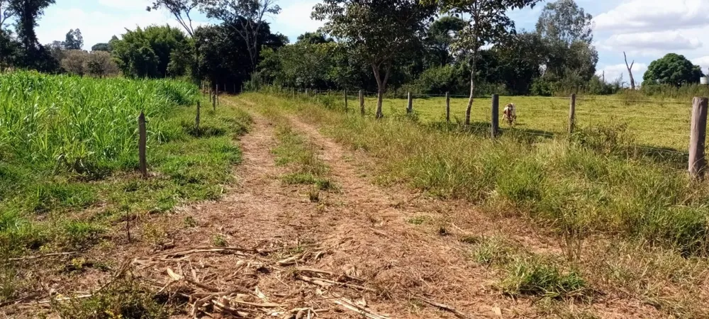 Fazenda, 2 quartos - Foto 12
