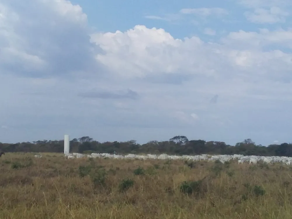 Fazenda, 2 quartos - Foto 14