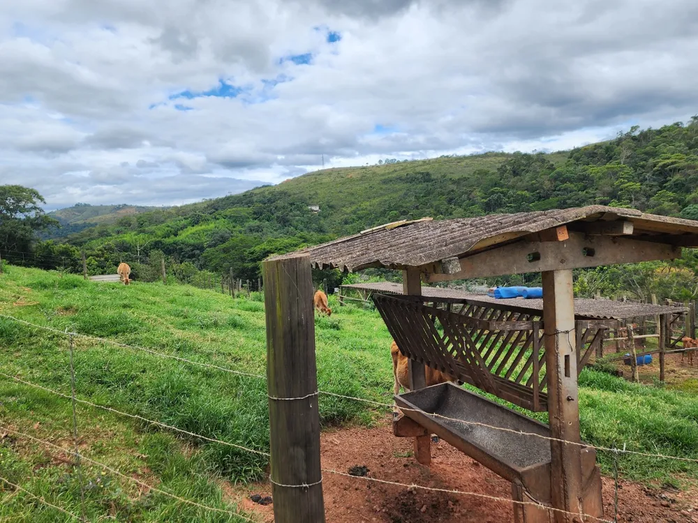 Fazenda, 3 quartos - Foto 9