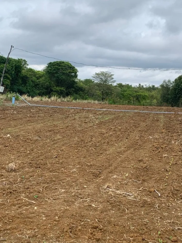 Fazenda, 1 quarto - Foto 5