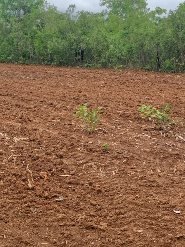 Fazenda, 1 quarto - Foto 2