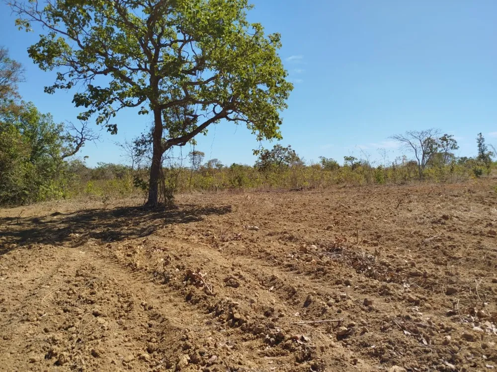 Fazenda, 1 quarto - Foto 15