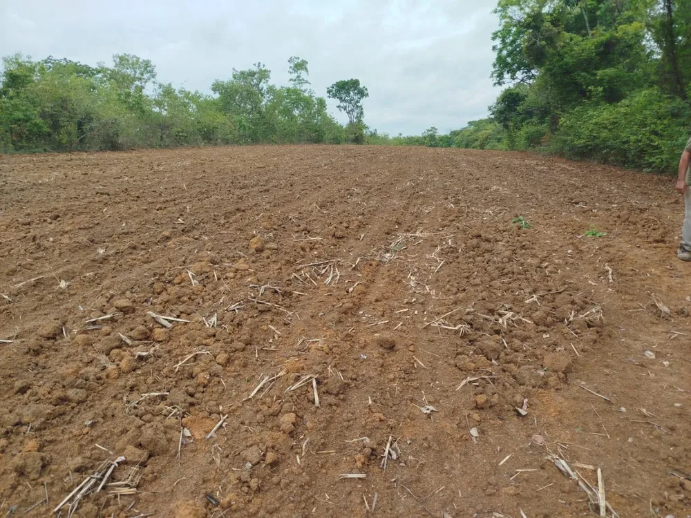 Fazenda, 1 quarto - Foto 19