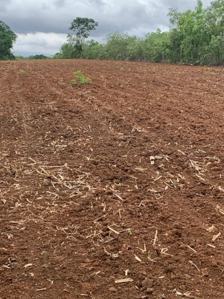 Fazenda, 1 quarto - Foto 17