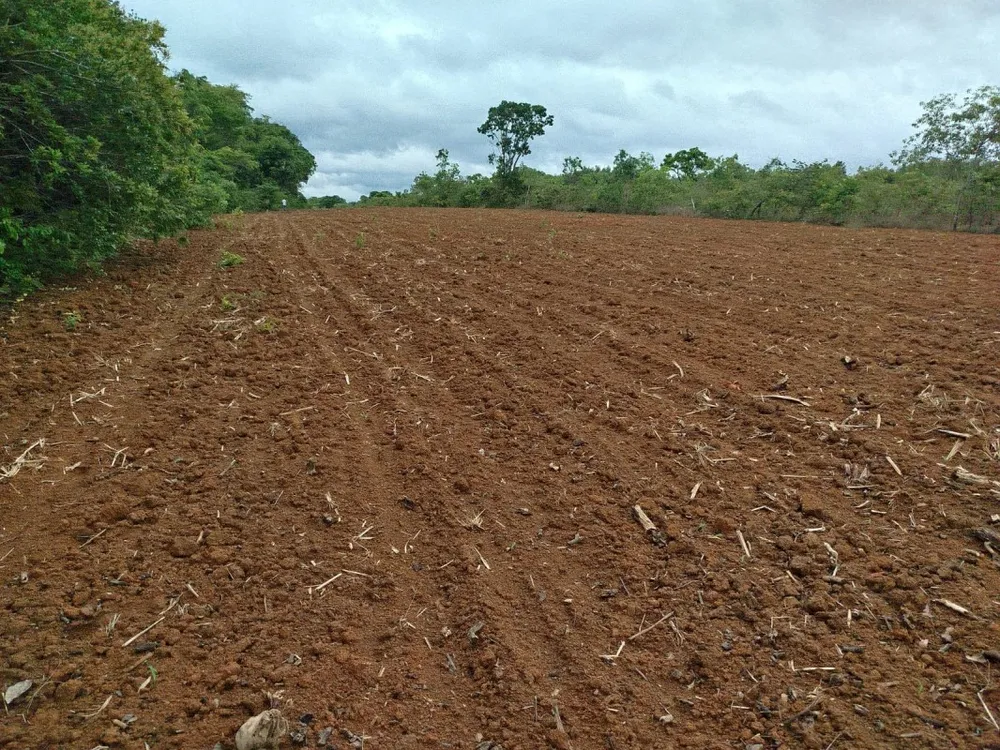 Fazenda, 1 quarto - Foto 3