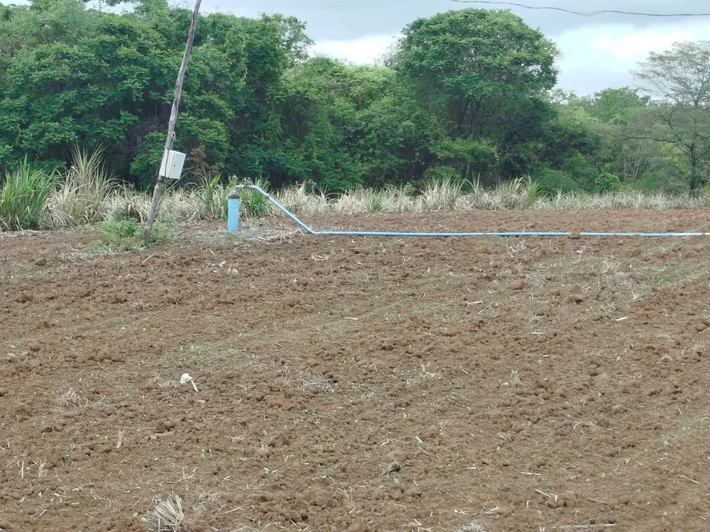 Fazenda, 1 quarto - Foto 11