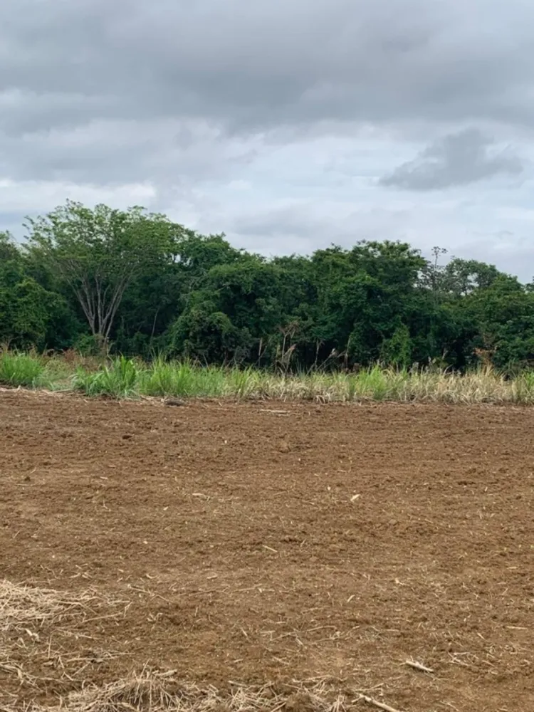 Fazenda, 1 quarto - Foto 10