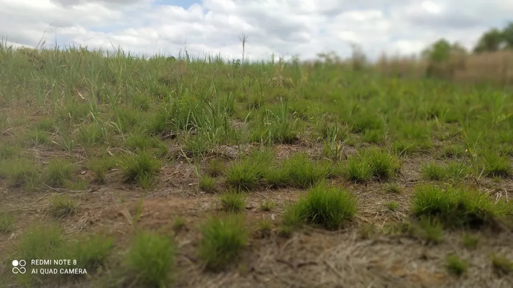 Fazenda, 1 quarto - Foto 14