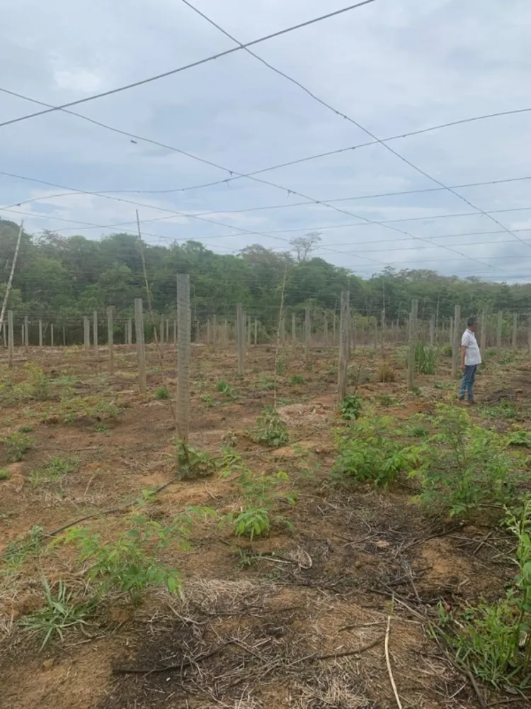 Fazenda, 1 quarto - Foto 14