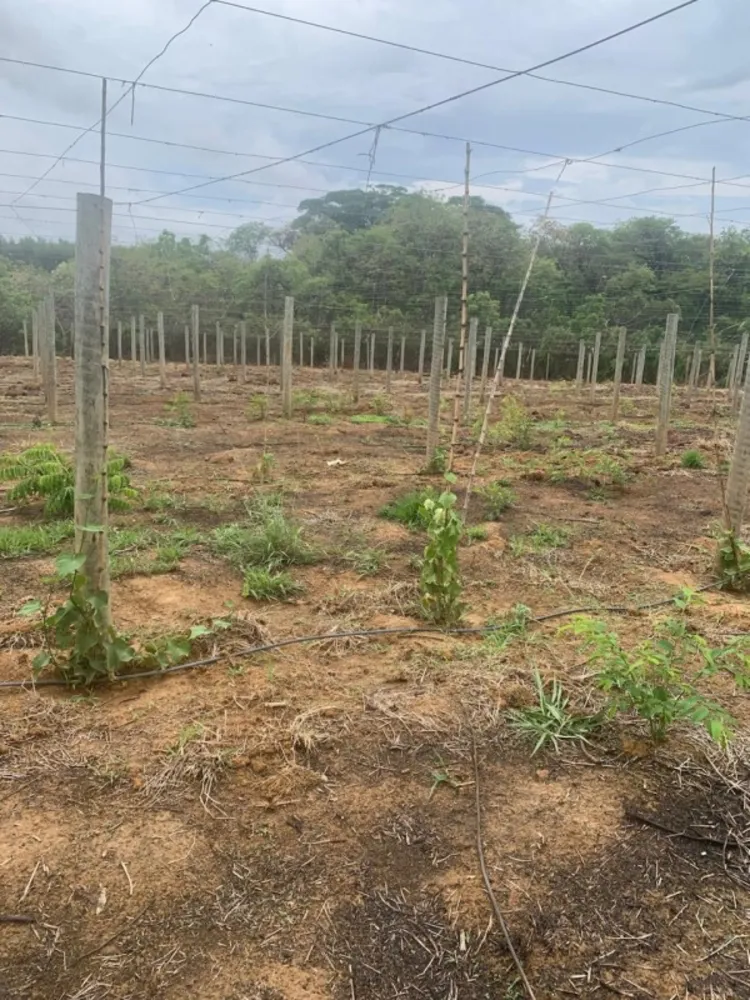 Fazenda, 1 quarto - Foto 16