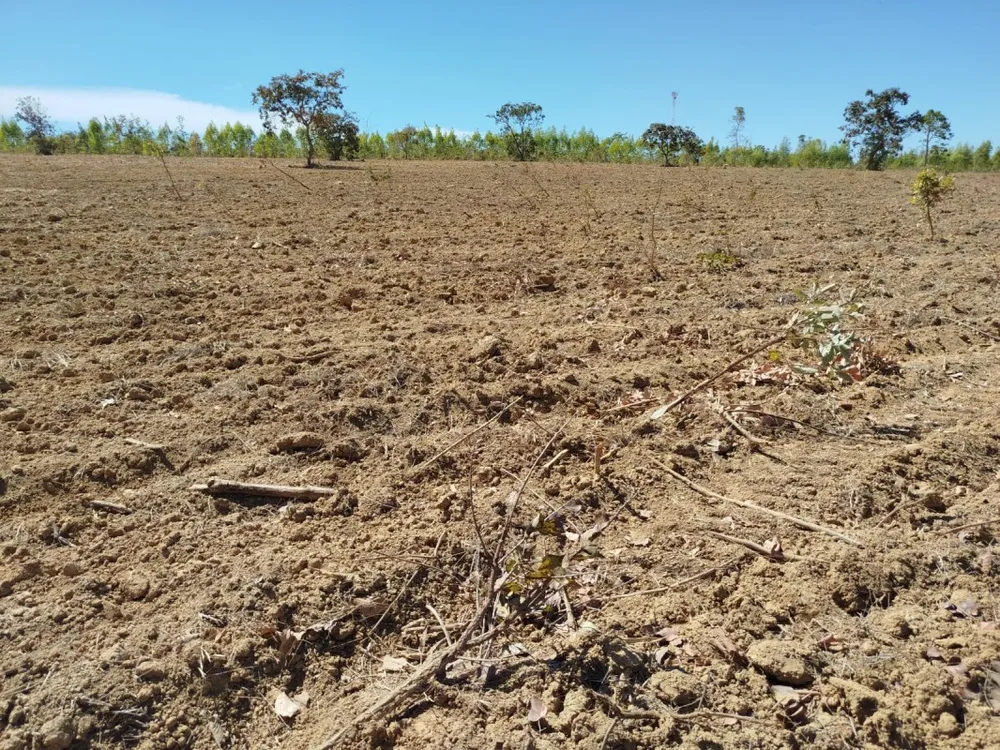 Fazenda, 1 quarto - Foto 18