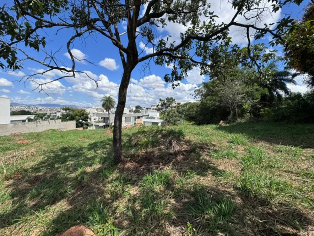 Terreno, 564 m² - Foto 2